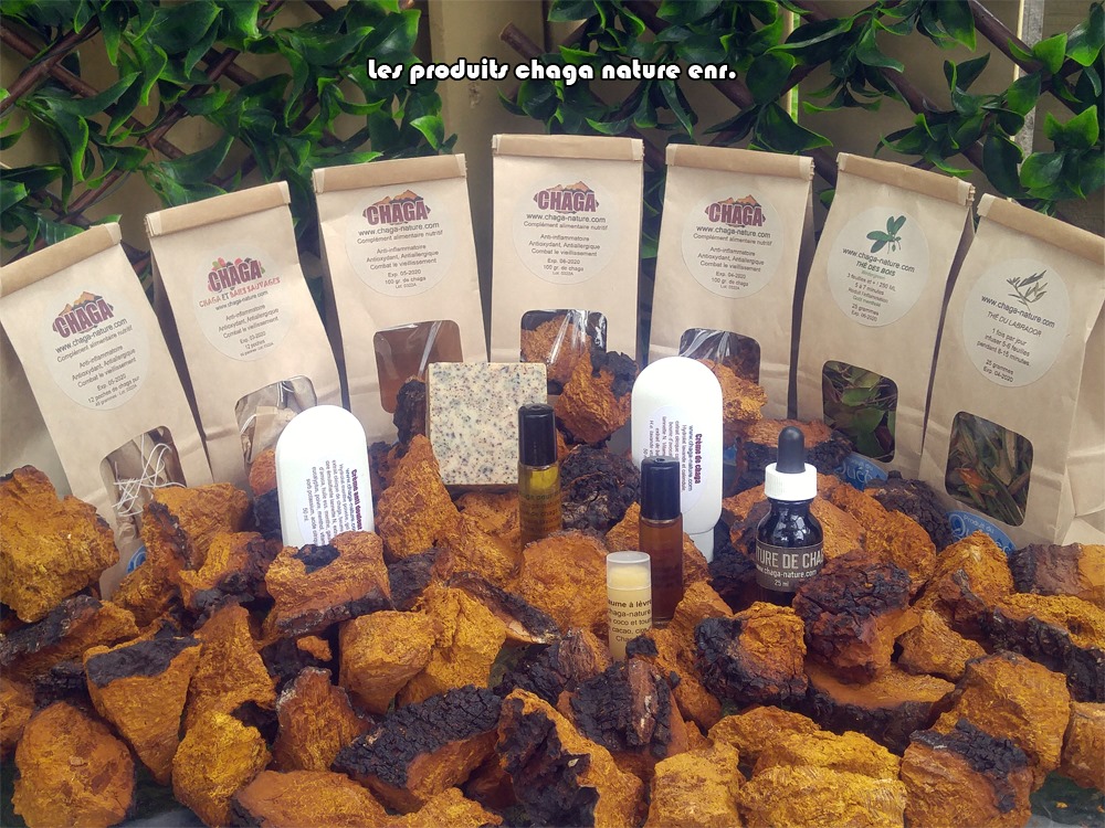 Chaga nature